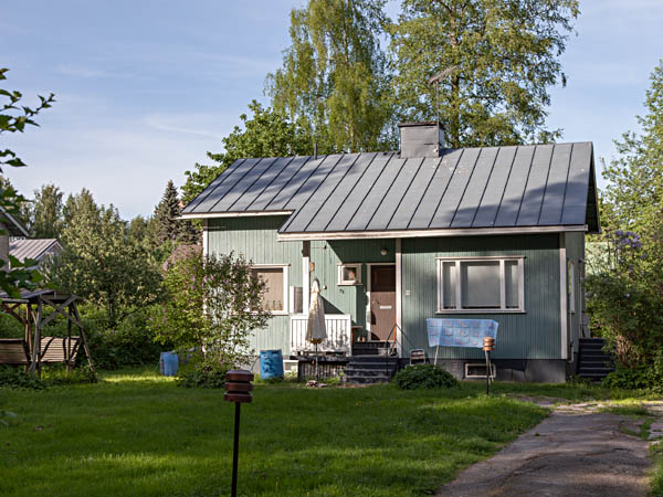 Puutarhakatua